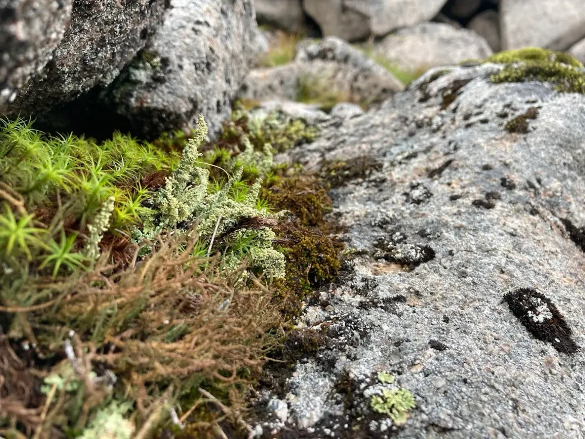 What's so "hard" about science?